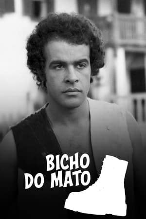 bicho do mato - palacio do grilo